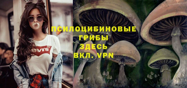 первитин Балахна